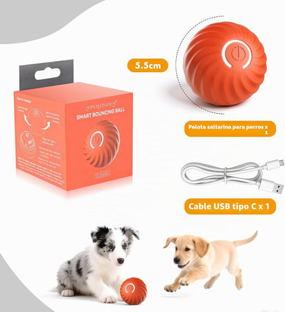 Pelota interactiva para perros