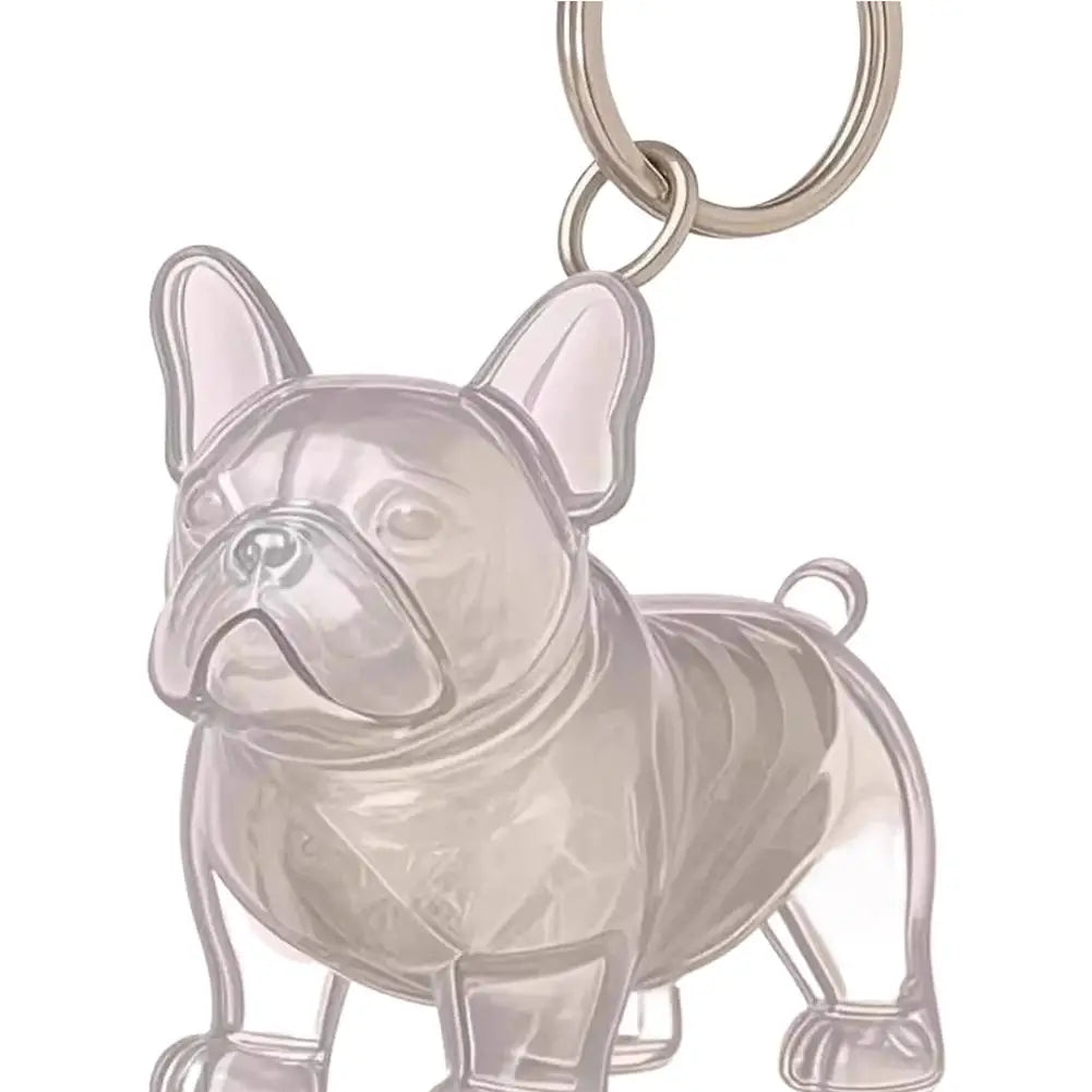 Clear Pet Hair Keychain Cute Dog Fur Keepsake Holder Creative Transparent Pet Hair Memorial Collection Pendant for Dog/Cat