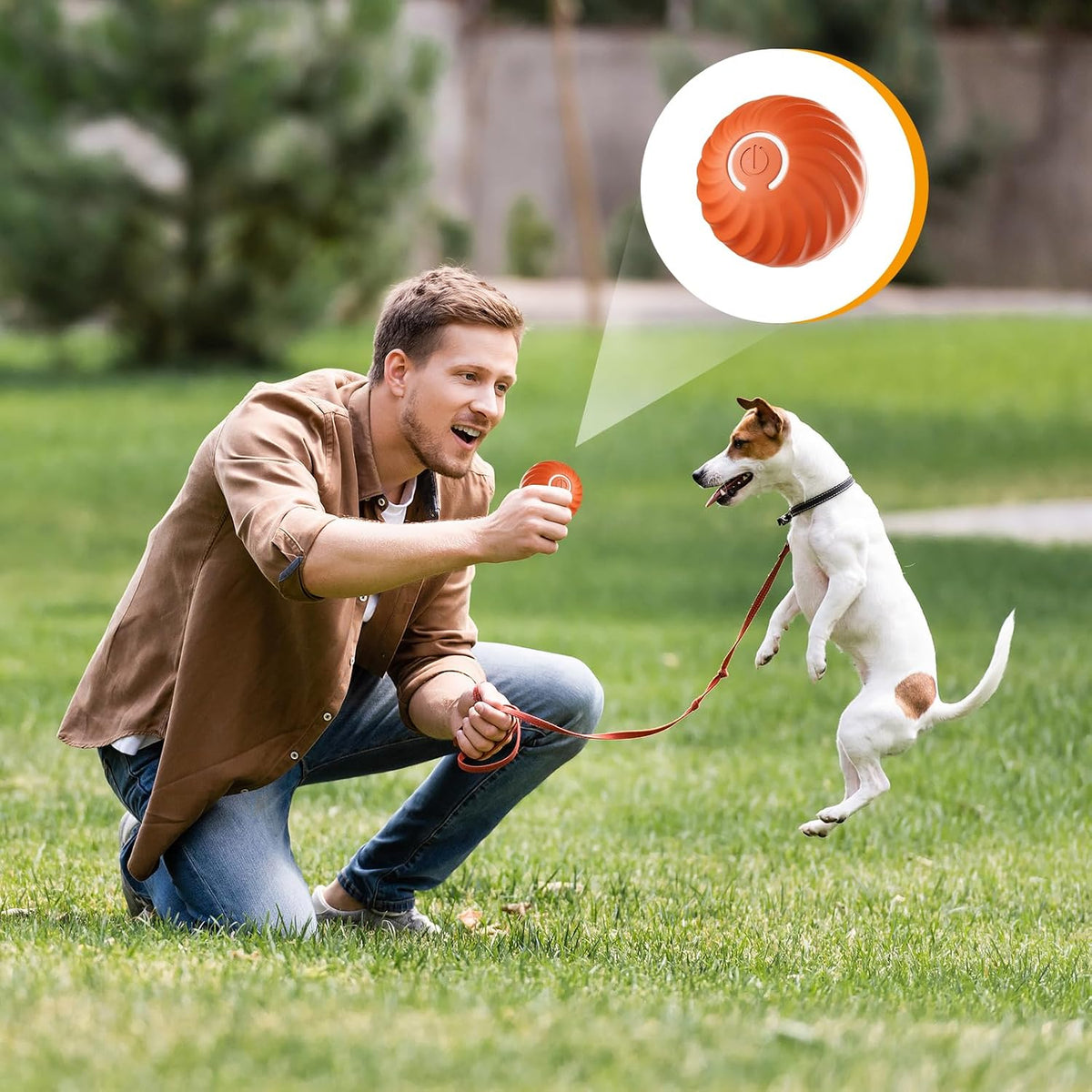 Pelota interactiva para perros