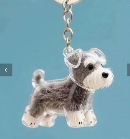 Llavero Contenedor de Pelo