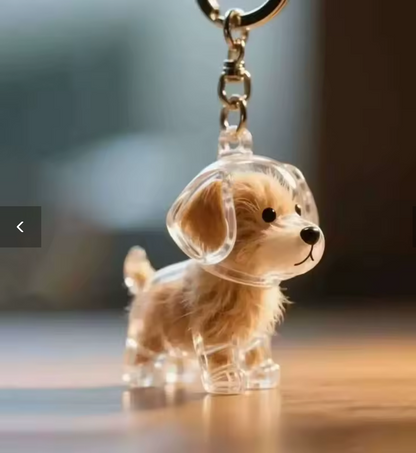 Llavero Contenedor de Pelo